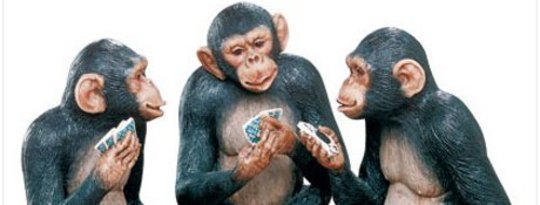 Gambling Monkeys Believe In Winning Streaks