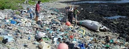 In The Ocean, The Most Harmful Plastic Is Too Small To See