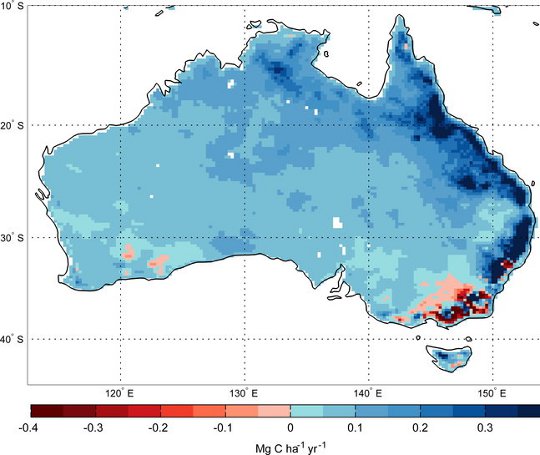 Mean annual change in vegetation biomass