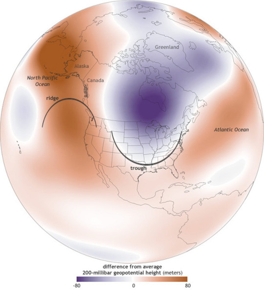 pacific blob