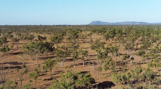 The Earth Is Getting Greener