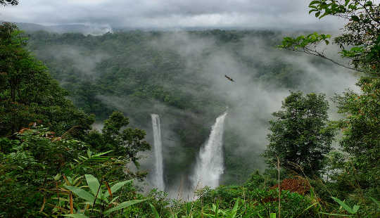 Forest Fires In The Amazon Region Are Reaching Record Levels