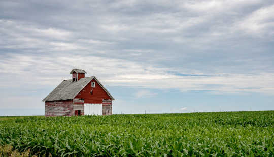 Farmers might not have a clear idea of how this year's strong weather pattern will affect them until spring. (Credit: Michael Leland/Flickr)