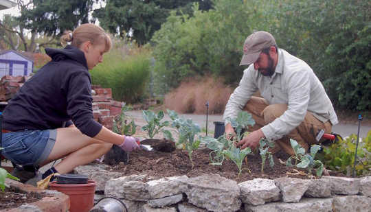 community gardens 8 16