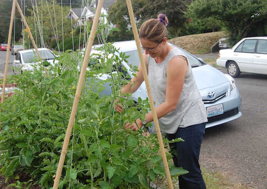 Converting parking strips into farms has proven to be very fruitful.