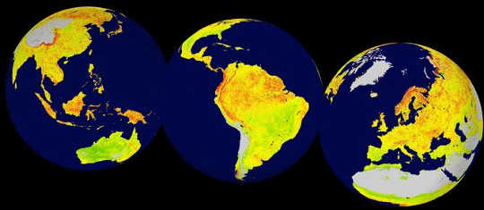 Maps created using satellite data to show which ecosystems are most sensitive to climate (orange) and least sensitive (green). Both could be worrying as the world warms. Seddon et al.