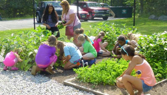 How Girl Scouts Get Their Parents To Go Green