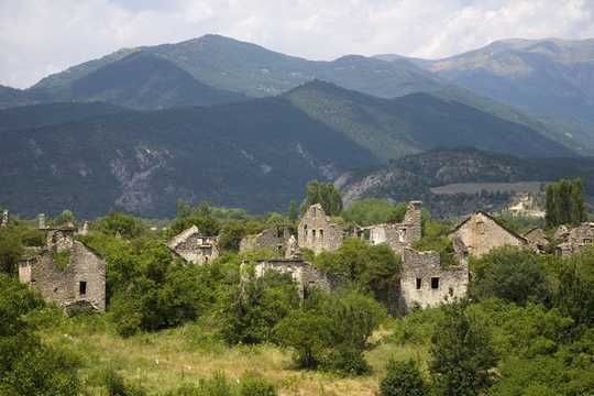 As Farmland and Villages Are Abandoned, Forests, Wolves and Bears Are Returning To Europe