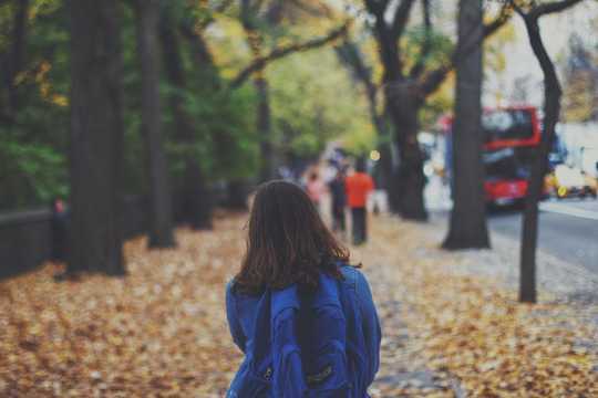 Increasing Tree Cover May Be Like A Superfood For Community Mental Health