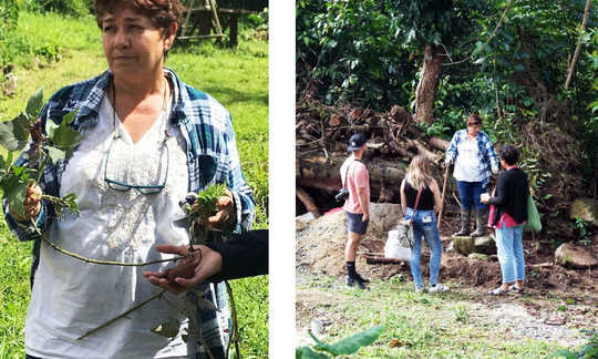 Meet the Farmers Reclaiming Puerto Rico’s Agricultural History