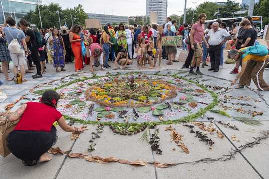 8 Ways You Can Help Stop The Rainforest Burning