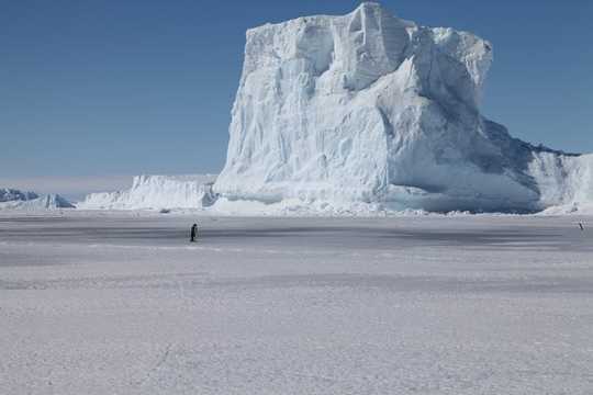 Why Emperor Penguins Could March To Extinction 