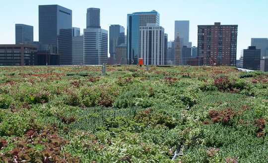 Green Roofs Improve The Urban Environment – So Why Don't All Buildings Have Them?