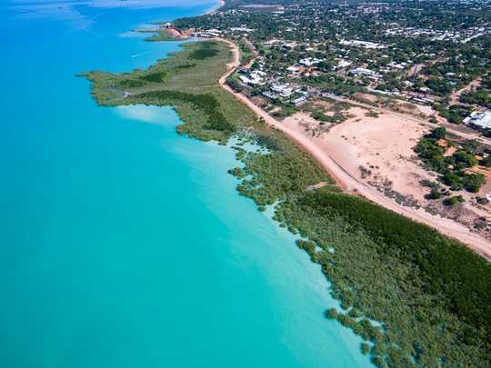 Rising Seas Allow Coastal Wetlands To Store More Carbon