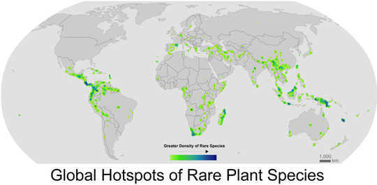 Climate Change Threatens A Scary Number Of Plant Species