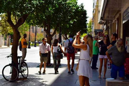 Increasing Tree Cover May Be Like A Superfood For Community Mental Health