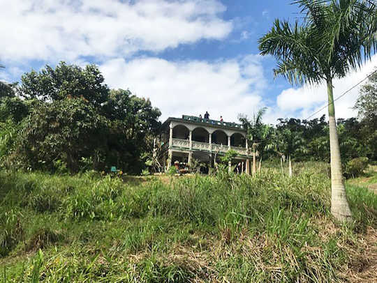 Meet the Farmers Reclaiming Puerto Rico’s Agricultural History