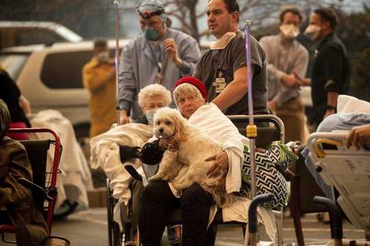 Aging With Pets Isn't Just A Sentimental Concern, But A Matter Of Health And Wellness