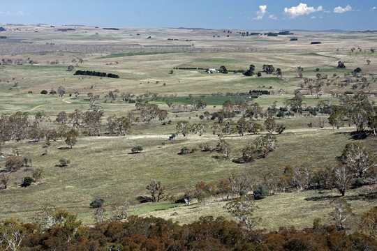 What Are Native Grasslands, And Why Do They Matter?