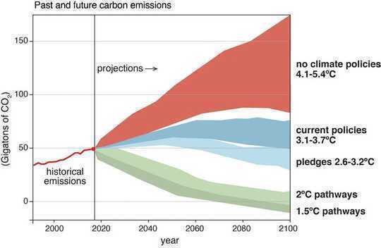 Will Reforesting An Area The Size Of The US Help Avert Climate Breakdown?