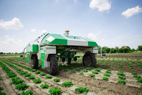 How Artificial Intelligence Is Changing the Way We Farm