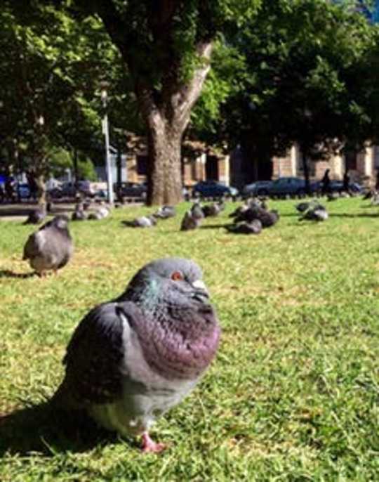 Reducing Stress At Work Is Just A Walk In The Park