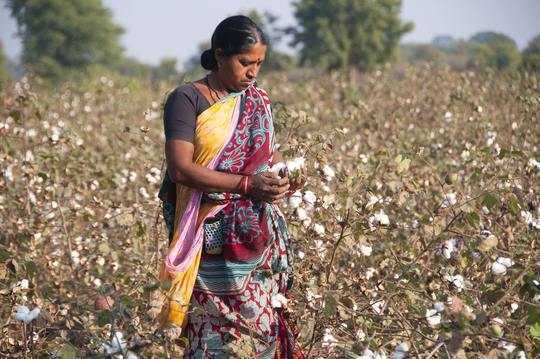 It Would Cost You 20 Cents More Per T-shirt To Pay An Indian Worker A Living Wage