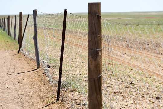 Demolish Your Front Fence. It Would Be An Act Of Radical Kindness