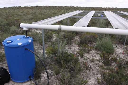 We Built A Network Of Greenhouses And Rain Shelters To Simulate What Climate Change Will Do To Soils