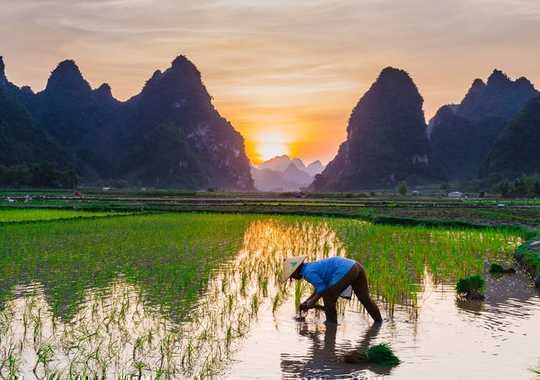 How Archaeology Can Help Us Learn From History To Build A Sustainable Future For Food