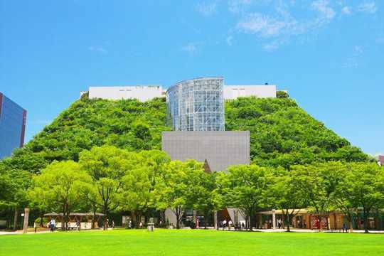 How Green Roofs Can Protect City Streets From Flooding