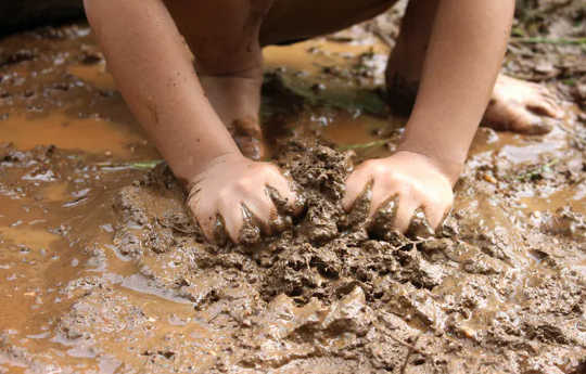 Children need diverse microbiomes in their environment to develop healthy immune systems. (how biodiversity loss could be making us sick)