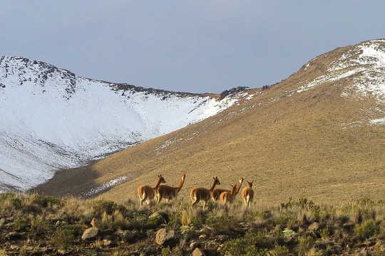 The Andes Mountains.