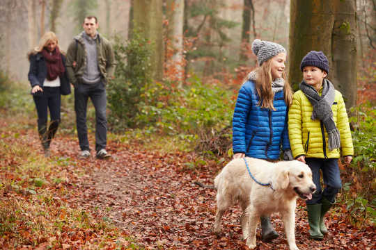 Exercising in nature is beneficial for mental health.