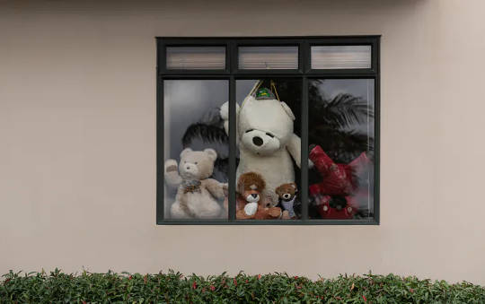 During New Zealand’s lockdown, people put teddies in windows to encourage children to go for walks. 