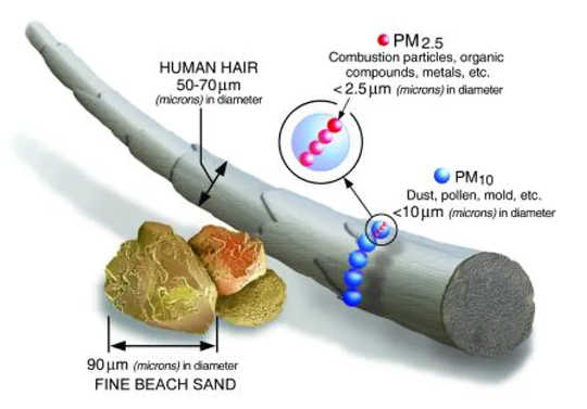 PM2.5 particles are tiny at less than 2.5 microns across.