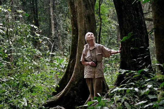 My Talk With Jane Goodall: Vegetarianism, Animal Welfare And The Power Of Children’s Advocacy