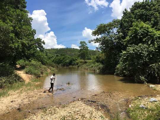 Cuba's Clean Rivers Show The Benefits Of Reducing Nutrient Pollution