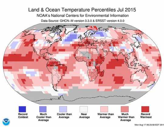 Worst Marine Heatwave On Record Killed One Million Seabirds In North Pacific Ocean