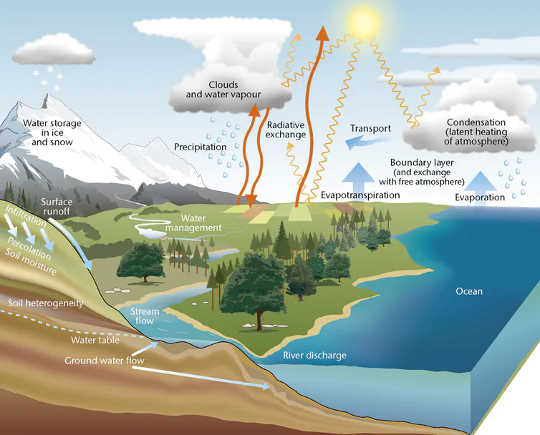 Water in the environment. (two thirds of earth s land is on pace to lose water as the climate warms)