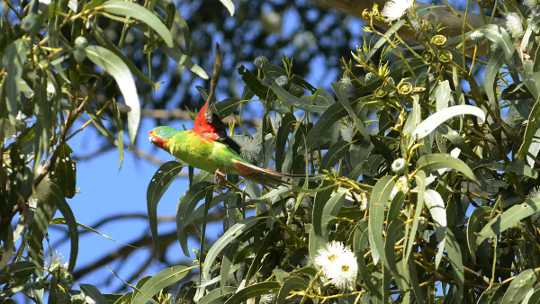 Taking Care Of Business: The Private Sector Is Waking Up To Nature's Value