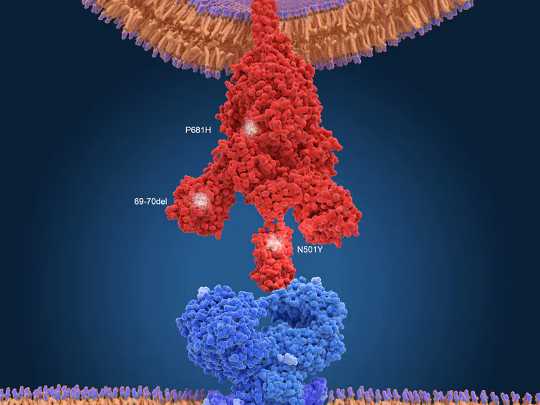 Coronavirus Variants, Viral Mutation And Covid-19 Vaccines: The Science You Need To Understand