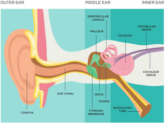 benefits of earwax2 6 4