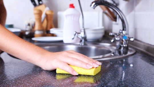 why kitchen sponge is bad choice 2 19