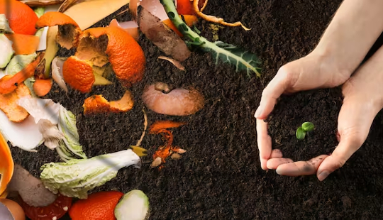 hands holding black earth formed from composted food waste