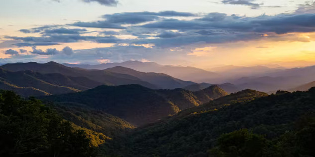 National parks provide a hands-on learning environment for students to explore and understand environmental issues. 