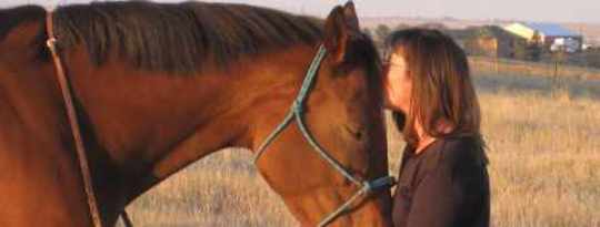 Horses and the Mystical Path