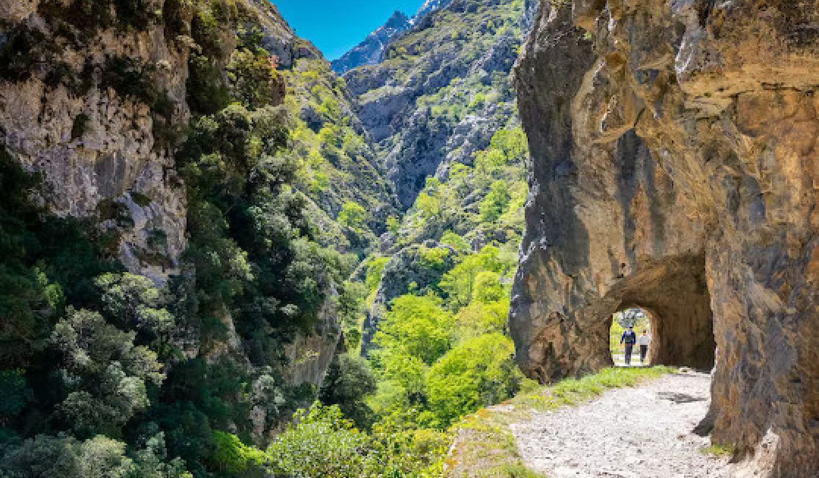 Why Walking through the Countryside Tames Your Brain