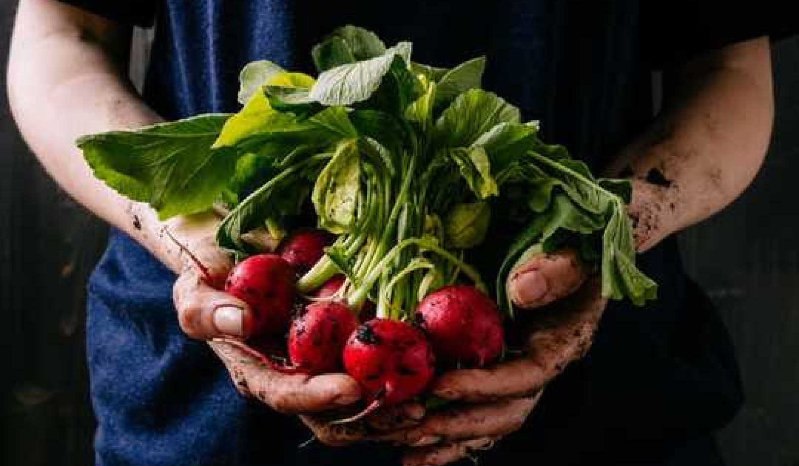 Organic Food Health Benefits Have Been Hard To Assess, But That Could Change