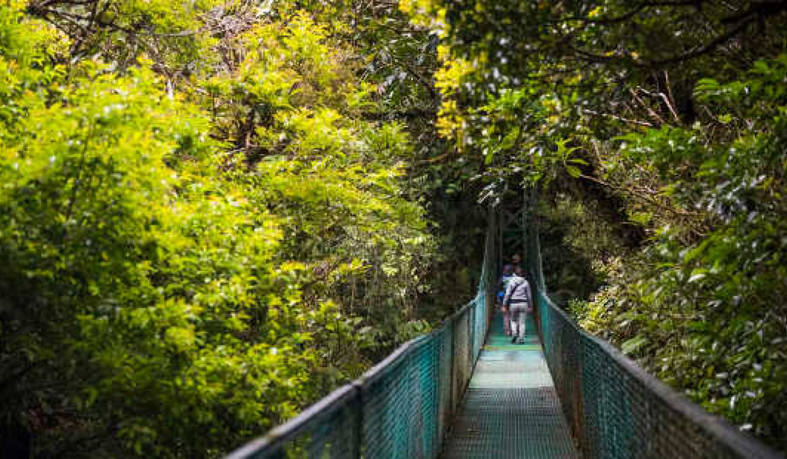 How Protecting Biodiversity Has Paid Off For Costa Rica